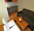 Apartments Brno - living room, kitchen